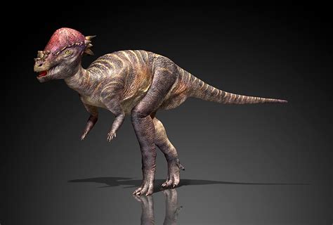 2020年古生物学家到底命名了多少种恐龙？_凤凰网历史_凤凰网
