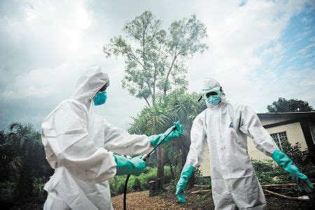 埃博拉病毒僵尸怎么回事：发病像僵尸（撕咬人类和动物）-小狼观天下