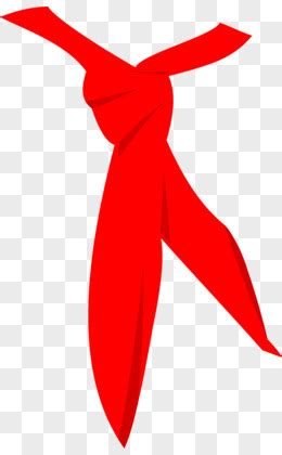 爱护红领巾--红领巾的折叠、保养 爱护红领巾（桂雅陈玉轩）