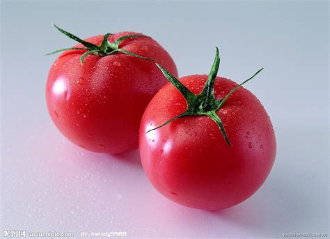 西红柿图册_360百科