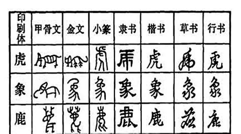 汉字字体的历史演变,汉字字体的演变过程？-史册号