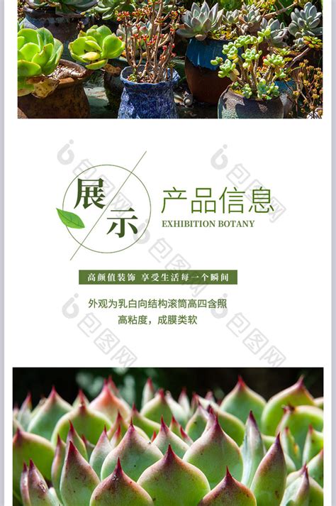 夏季花店外的鲜花盆栽高清图片下载-正版图片600429243-摄图网
