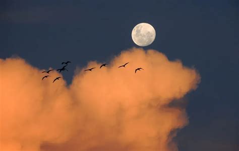为什么我们喜欢抬头看月亮？_DIY_有盐_凤凰艺术