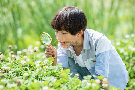 小男孩放大镜观察植物高清图片下载-正版图片501339283-摄图网
