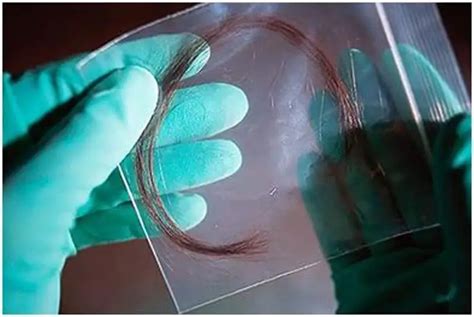 头发能不能做DNA对比-中鉴中正亲子鉴定中心机构