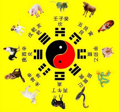 八卦五行图图片