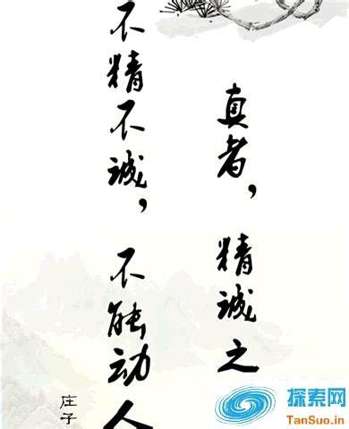 大气古典庄子名言学校文化展板图片下载_红动中国