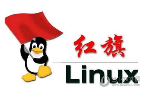 国产linux系统哪个好用 全面保障企业信息安全 - 当下软件园