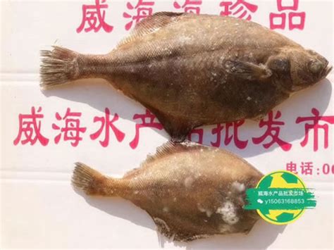 山东威海鱼类批发 冷冻沙钻鱼 12.5公斤/板 饲料鱼可做调味鱼-阿里巴巴