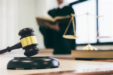 上海脱颖律师事务所-上海市知识产权服务行业协会