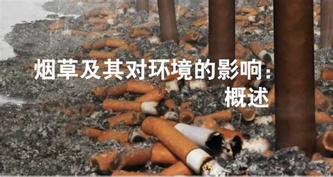 WHO：烟草对环境的危害，比你想象的更严重 | 控烟与《铁路法》修改讨论会邀您关注公共交通工具全面控烟- 中国生物多样性保护与绿色发展基金会