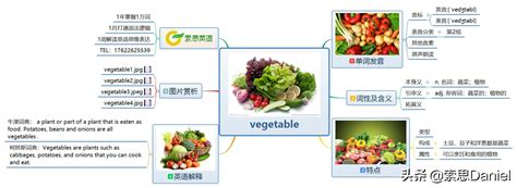vegetables怎么读什么意思（索思英语解码单词（第154个）——vegetable蔬菜） | 说明书网