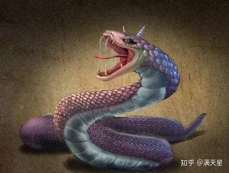 腾蛇：古代神话传说中的生物，是一种会腾云驾雾的蛇_知秀网