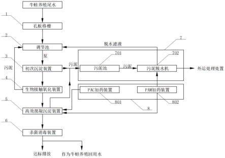 广东澄海牛蛙深水养殖流程-成功养殖模式介绍-利洋水产