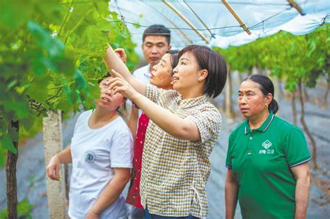 华容区原野果蔬农业专业合作社里农户在采摘草莓