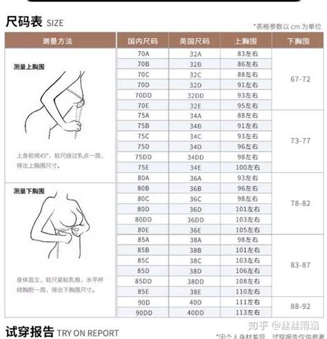 【文胸内衣尺码对照表真人图解】胸罩罩杯尺寸说明表真人版_第二人生