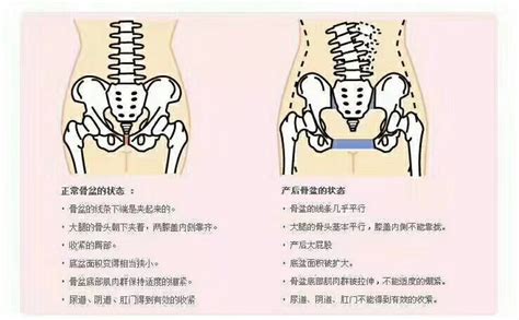 全入盆和半入盆感觉差异大，一张图片助你快速区别_家庭医生在线