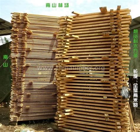 杉木产品供应_中国木材网