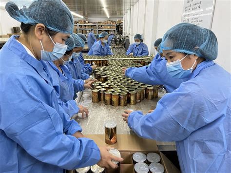 百威英博莆田新厂今日投产 年产150万吨啤酒创亚洲之最_福建新闻_海峡网