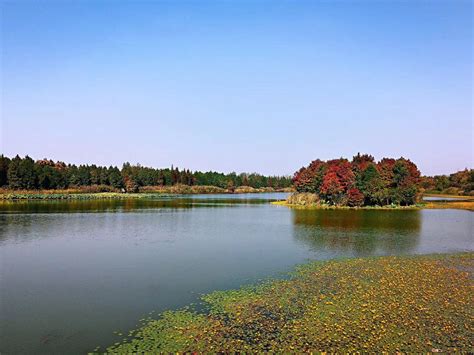定了！南京麒麟生态公园“绝美双湖”就叫：麒麟湖、沧波湖__财经头条