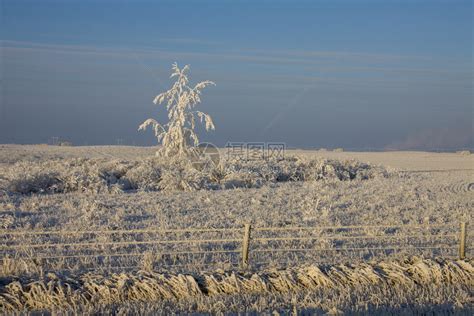 温冬冰霜加拿大萨斯喀彻温冰风暴危险高清图片下载-正版图片307291210-摄图网