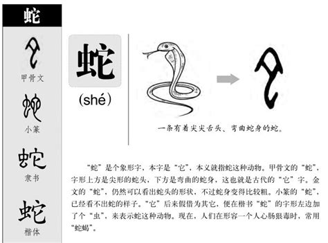 蛇(汉语汉字)_360百科