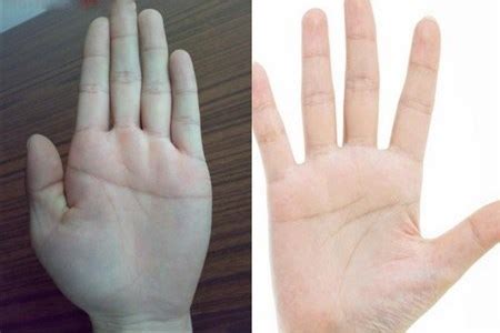 《手相学习百科》：手的形状 - 起名网