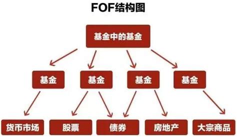 fof基金是什么意思 fof基金的解释_知秀网