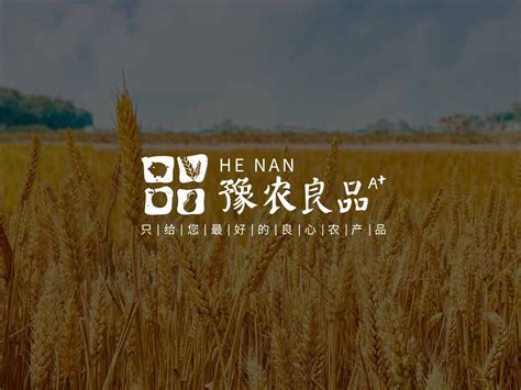 河南农产品品牌设计——豫鉴粮品-Logo设计作品|公司-特创易·GO