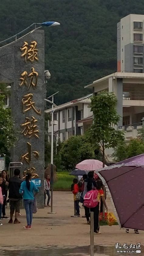 禄劝彝族苗族自治县-彩龙社区