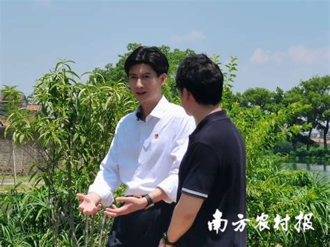 省委书记-电视剧-腾讯视频