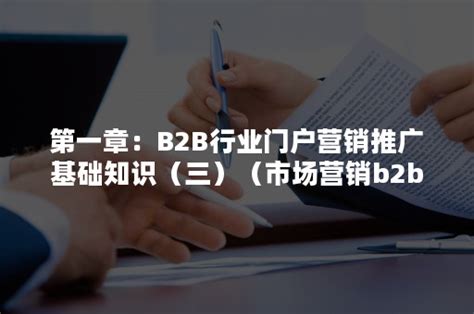 第一章：B2B行业门户营销推广基础知识（三）（市场营销b2b的例子）-悠易科技CDP