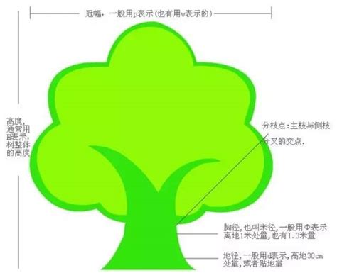 苗木生产是基础，应用是目的，设计是关键-行情分析-中国花木网
