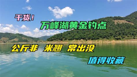 万峰湖野钓集中营_万峰湖野钓集中营地址_万峰湖野钓集中营电话 - 钓鱼之家