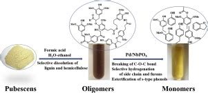Pd / NbOPO 4 上耻骨科学中木质素衍生的低聚物的低温催化转化 ,Applied Catalysis B: Environment ...