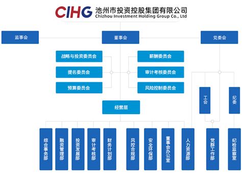 组织架构- 池州市投资控股集团有限公司