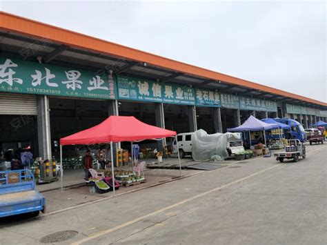 广西海吉星农产品国际物流有限公司 - 数字乡村资讯