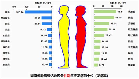 2017年湖南省排名前10位癌症发病情况、排名前10癌症发病情况及男女肿瘤发病情况分析【图】_智研咨询