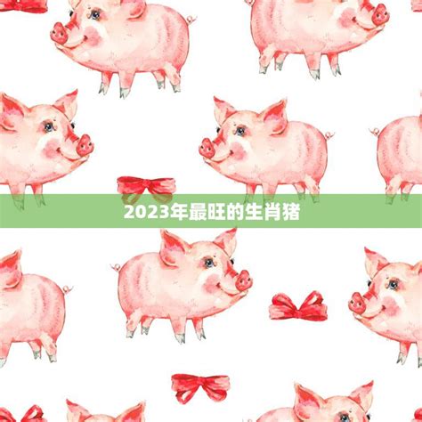 2023年最旺的生肖猪(猪年大吉财源滚滚)