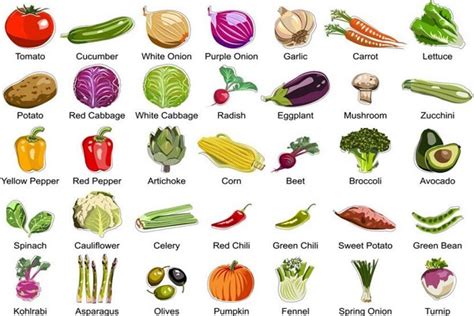 蔬菜种类品种,蔬菜种类图册,蔬菜种类名称大全_大山谷图库