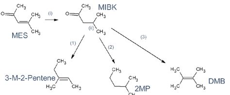 Summary of the reaction pathways: (i) MES to MIBK, (ii) MIBK to (1 ...