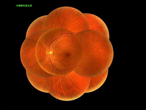 摄影丨全息宇宙——物理博士记录上百双眼睛里的星辰大海 - 中国舞台美术学会 - 崇真艺客