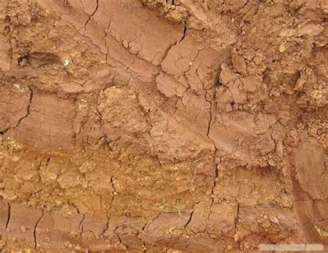 土质分类五类土及照片-农百科