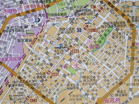 哈尔滨市区地图高清版_电子地图 - 随意云
