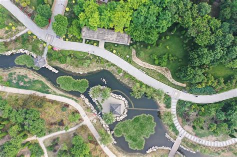「坑塘」河北河间：废弃坑塘变身生态公园 公园|生态|河北河间