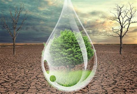 保护水资源节约用水保护生态平衡绿色公益海报图片下载 - 觅知网