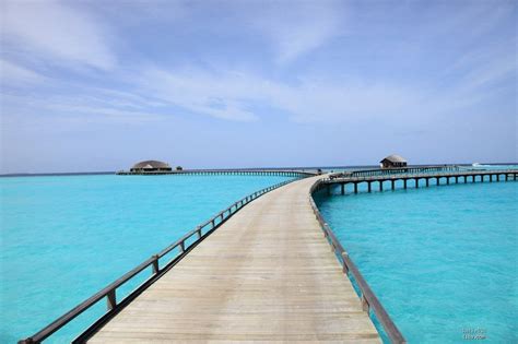 马尔代夫图片-迷人的马尔代夫的海滩素材-高清图片-摄影照片-寻图免费打包下载