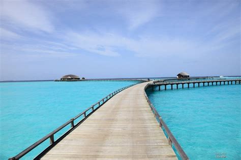 马尔代夫绮丽兰卡富士度假村预订及价格查询,Gili Lankanfushi Maldives_八大洲旅游