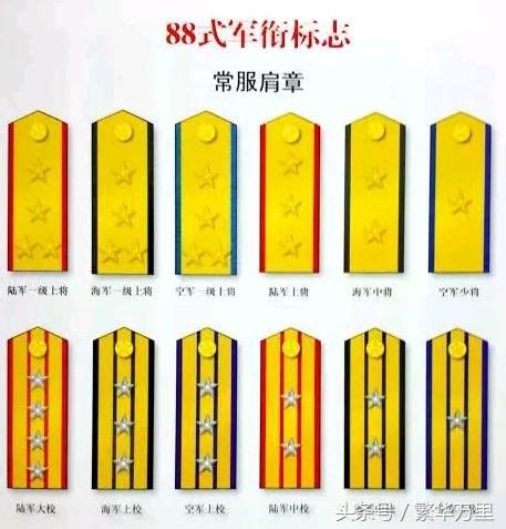 一级一级一级图片
