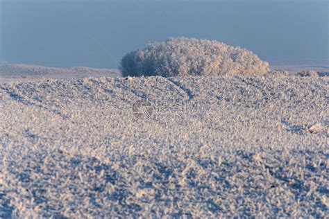 温冬冰霜加拿大萨斯喀彻温冰风暴危险高清图片下载-正版图片307291332-摄图网